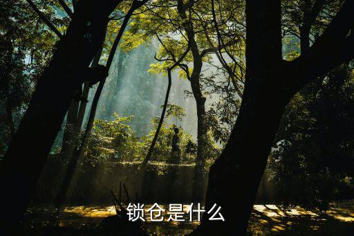 鎖倉(cāng)是什么