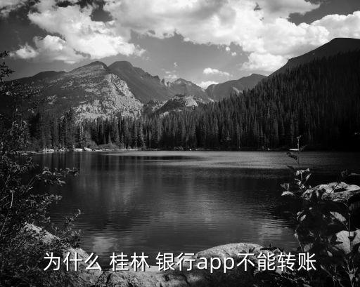 為什么 桂林 銀行app不能轉(zhuǎn)賬