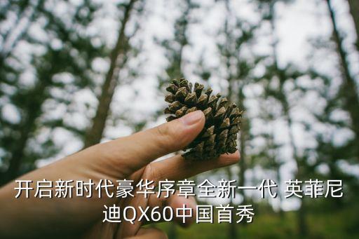 開啟新時(shí)代豪華序章全新一代 英菲尼迪QX60中國首秀