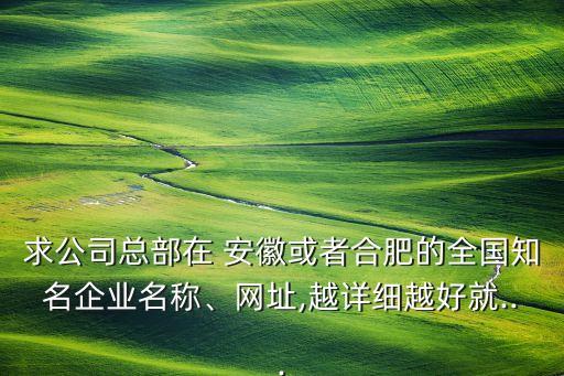 求公司總部在 安徽或者合肥的全國知名企業(yè)名稱、網(wǎng)址,越詳細(xì)越好就...