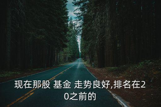 現(xiàn)在那股 基金 走勢(shì)良好,排名在20之前的