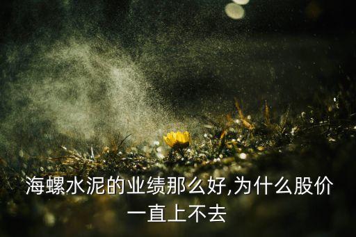  海螺水泥的業(yè)績那么好,為什么股價一直上不去