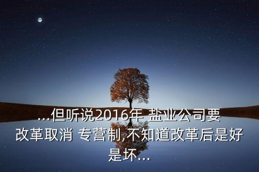 ...但聽(tīng)說(shuō)2016年 鹽業(yè)公司要改革取消 專營(yíng)制,不知道改革后是好是壞...