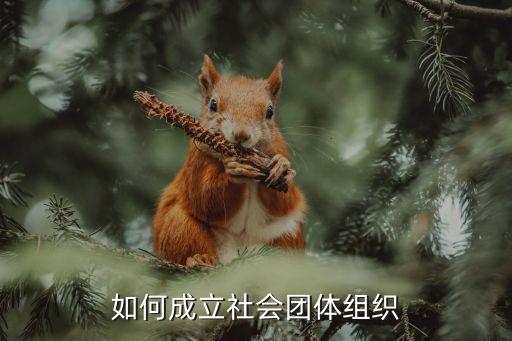 中國互聯(lián)網(wǎng)協(xié)會標志,中國金融互聯(lián)網(wǎng)協(xié)會