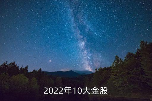 2022年10大金股