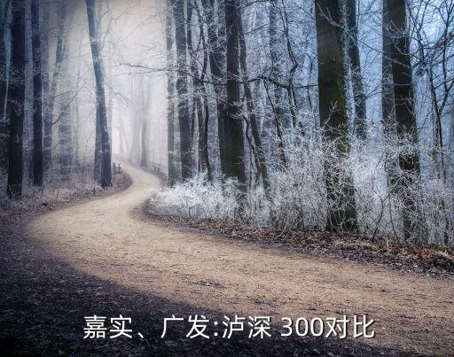  嘉實(shí)、廣發(fā):瀘深 300對比