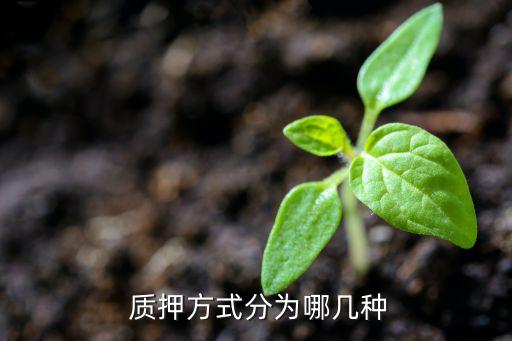  質(zhì)押方式分為哪幾種