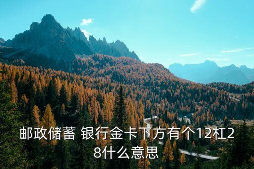 郵政儲(chǔ)蓄 銀行金卡下方有個(gè)12杠28什么意思