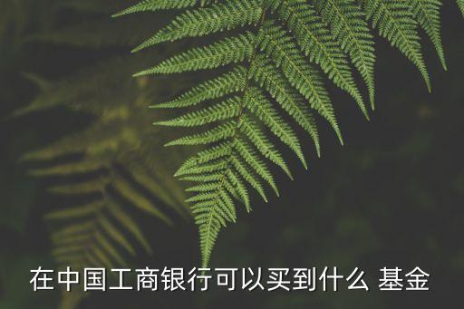 在中國(guó)工商銀行可以買(mǎi)到什么 基金