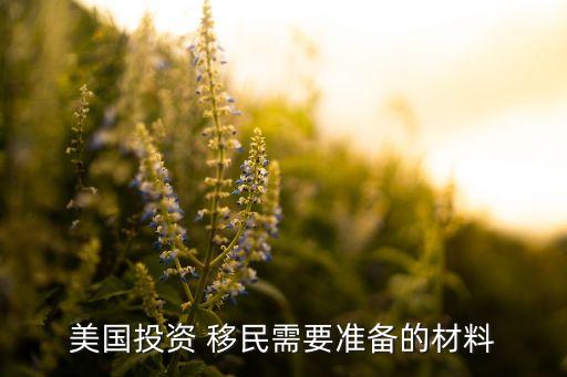 美國(guó)投資 移民需要準(zhǔn)備的材料