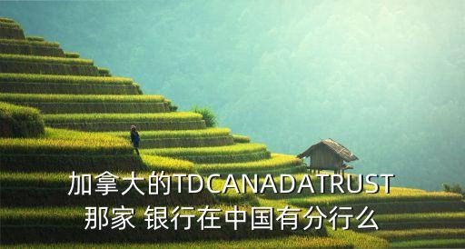 加拿大的TDCANADATRUST那家 銀行在中國有分行么