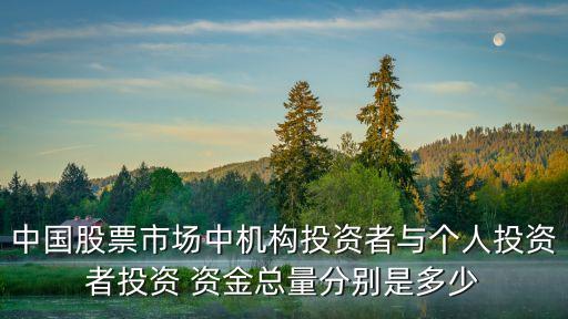 中國股票市場中機(jī)構(gòu)投資者與個人投資者投資 資金總量分別是多少