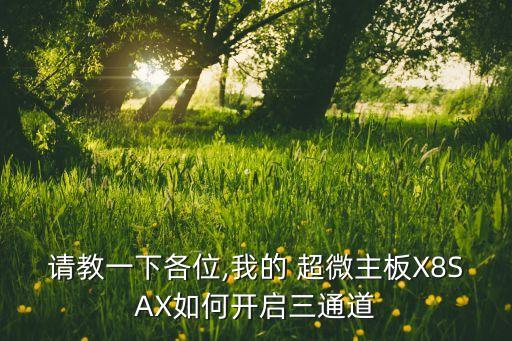 請(qǐng)教一下各位,我的 超微主板X8SAX如何開啟三通道