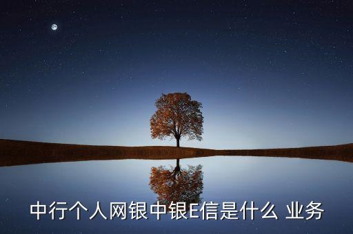 中國銀行網(wǎng)上主要業(yè)務