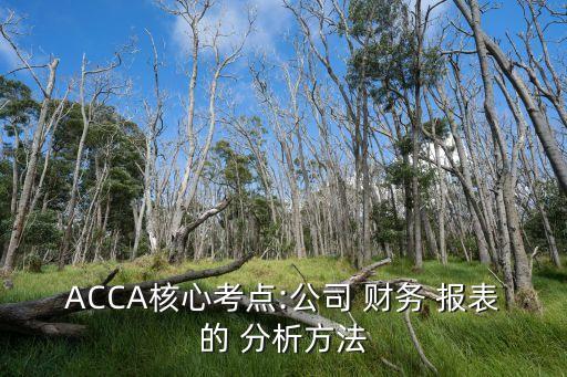 ACCA核心考點:公司 財務(wù) 報表的 分析方法