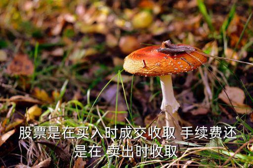  股票是在買入時(shí)成交收取 手續(xù)費(fèi)還是在 賣出時(shí)收取