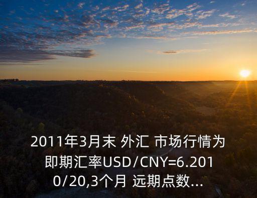 2011年3月末 外匯 市場行情為即期匯率USD/CNY=6.2010/20,3個月 遠(yuǎn)期點數(shù)...