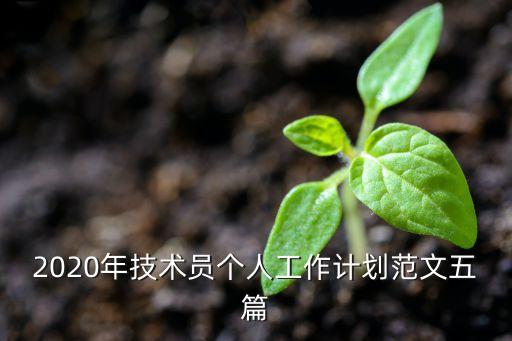 2020年技術(shù)員個人工作計劃范文五篇