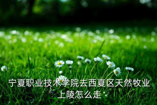  寧夏職業(yè)技術學院去西夏區(qū)天然牧業(yè) 上陵怎么走