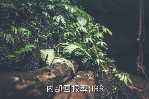  內(nèi)部回報(bào)率(IRR