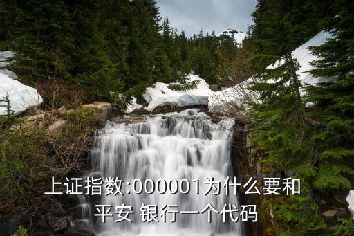 上證指數(shù):000001為什么要和 平安 銀行一個(gè)代碼