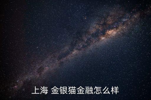 上海 金銀貓金融怎么樣