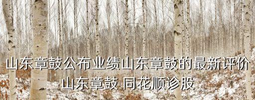 山東章鼓公布業(yè)績山東章鼓的最新評(píng)價(jià)山東章鼓 同花順診股