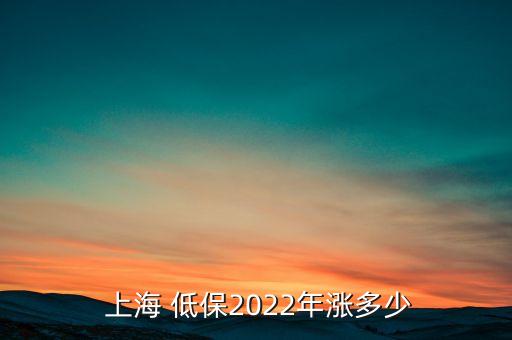  上海 低保2022年漲多少