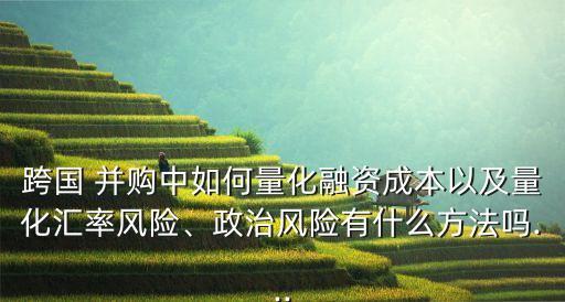 跨國 并購中如何量化融資成本以及量化匯率風(fēng)險、政治風(fēng)險有什么方法嗎...