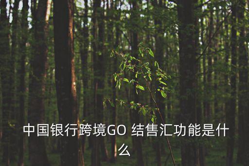  中國銀行跨境GO 結(jié)售匯功能是什么