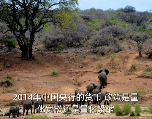 2014年中國(guó)央行的貨幣 政策是量化寬松還是量化緊縮