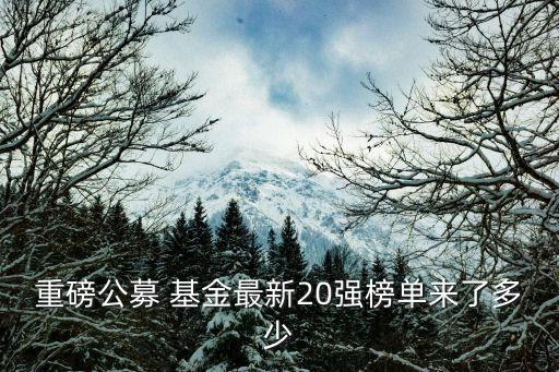 重磅公募 基金最新20強(qiáng)榜單來(lái)了多少