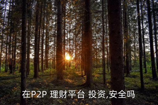 在P2P 理財(cái)平臺(tái) 投資,安全嗎