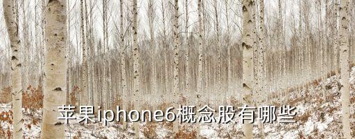 蘋(píng)果iphone6概念股有哪些