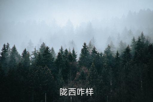 隴西咋樣