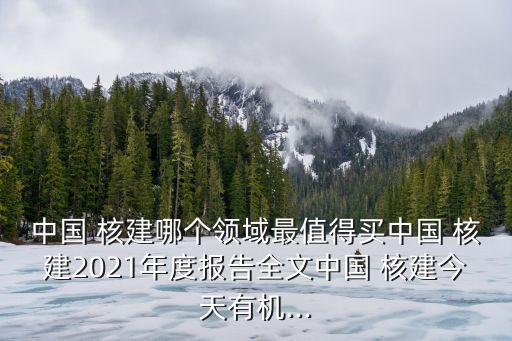 中國 核建哪個(gè)領(lǐng)域最值得買中國 核建2021年度報(bào)告全文中國 核建今天有機(jī)...