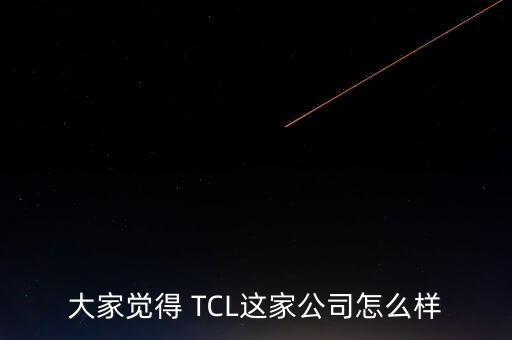 大家覺(jué)得 TCL這家公司怎么樣