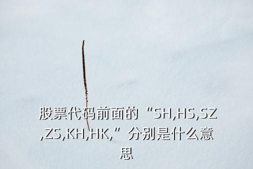  股票代碼前面的“SH,HS,SZ,ZS,KH,HK,”分別是什么意思