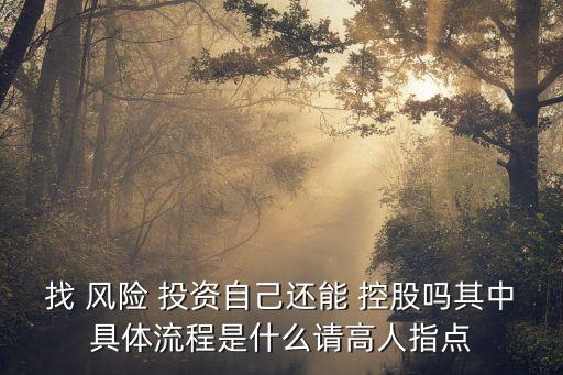 找 風(fēng)險 投資自己還能 控股嗎其中具體流程是什么請高人指點