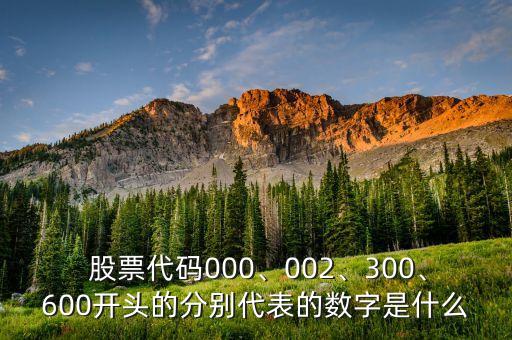  股票代碼000、002、300、600開頭的分別代表的數(shù)字是什么