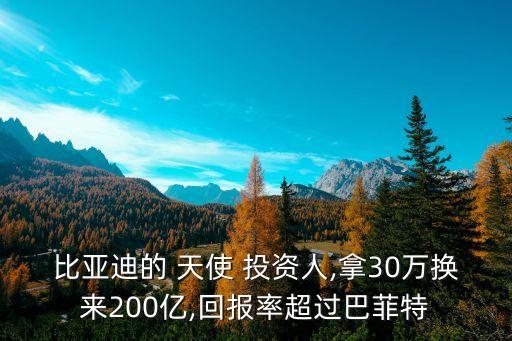 比亞迪的 天使 投資人,拿30萬換來200億,回報率超過巴菲特