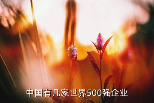 中國(guó)有幾家世界500強(qiáng)企業(yè)