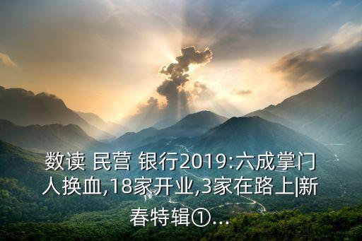 數(shù)讀 民營 銀行2019:六成掌門人換血,18家開業(yè),3家在路上|新春特輯①...