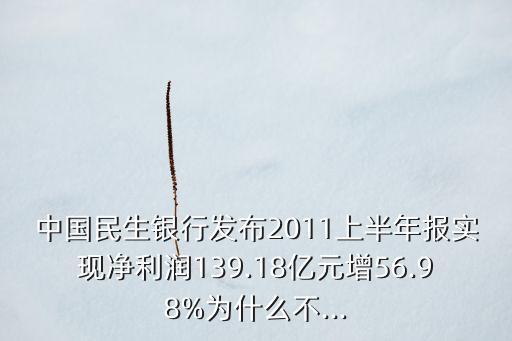 中國(guó)民生銀行發(fā)布2011上半年報(bào)實(shí)現(xiàn)凈利潤(rùn)139.18億元增56.98%為什么不...