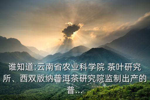 誰知道:云南省農(nóng)業(yè)科學(xué)院 茶葉研究所、西雙版納普洱茶研究院監(jiān)制出產(chǎn)的普...