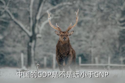 中國的GDP是不是遠小于GNP