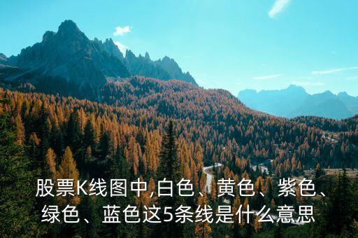  股票K線圖中,白色、黃色、紫色、綠色、藍色這5條線是什么意思