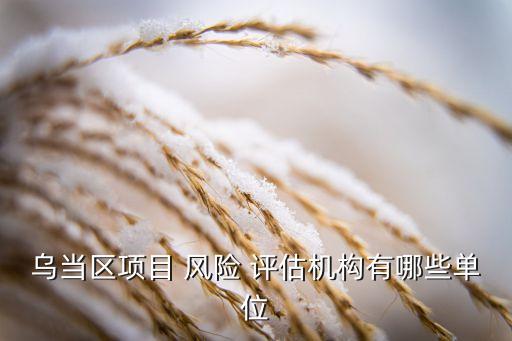 烏當(dāng)區(qū)項(xiàng)目 風(fēng)險(xiǎn) 評(píng)估機(jī)構(gòu)有哪些單位