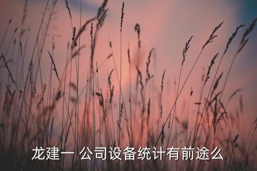 龍建一 公司設(shè)備統(tǒng)計(jì)有前途么