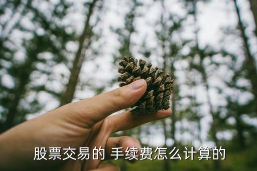  股票交易的 手續(xù)費(fèi)怎么計算的